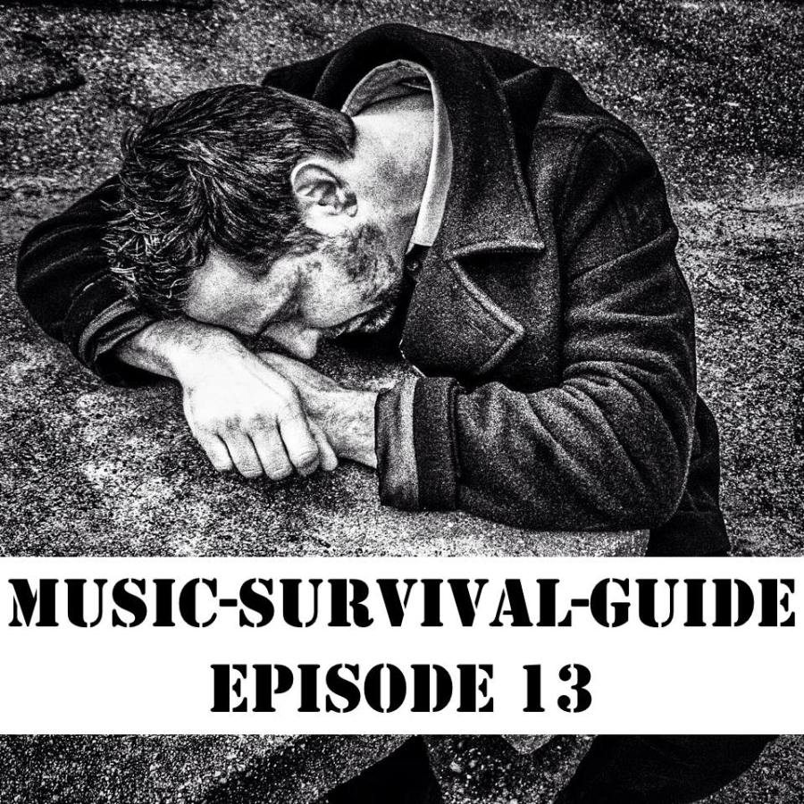 MUSIC-SURVIVAL-GUIDE Podcast Episode 13